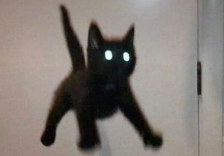 gm i have been revived by the current state of the trenches