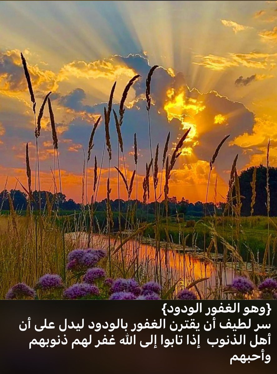 {وهو الغفور الودود}
سر لطيف أن يقترن الغفور بالودود ليدل على أن أهل الذنوب  إذا تابوا إلى الله غفر لهم ذنوبهم وأحبهم