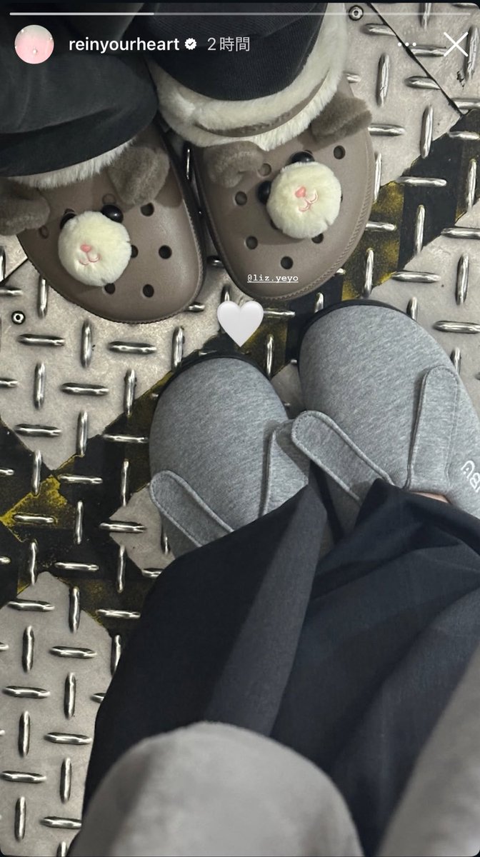 IVEレイとリズが履いてるSUBUのサンダルとクロックスどっちも動物