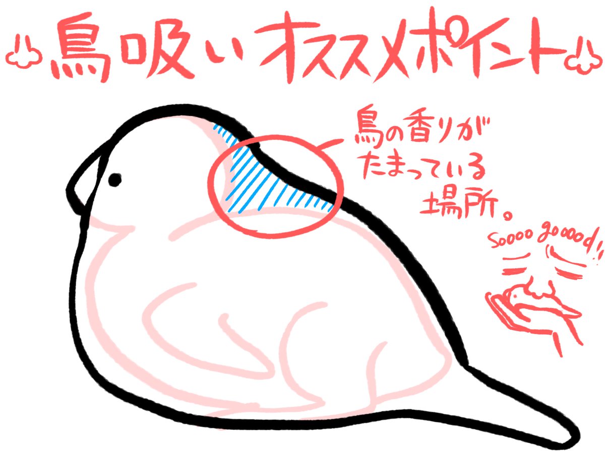 BuncheeAZ's tweet photo. 鳥を吸うならやっぱり首の後ろやで https://t.co/JWjyOy38cq