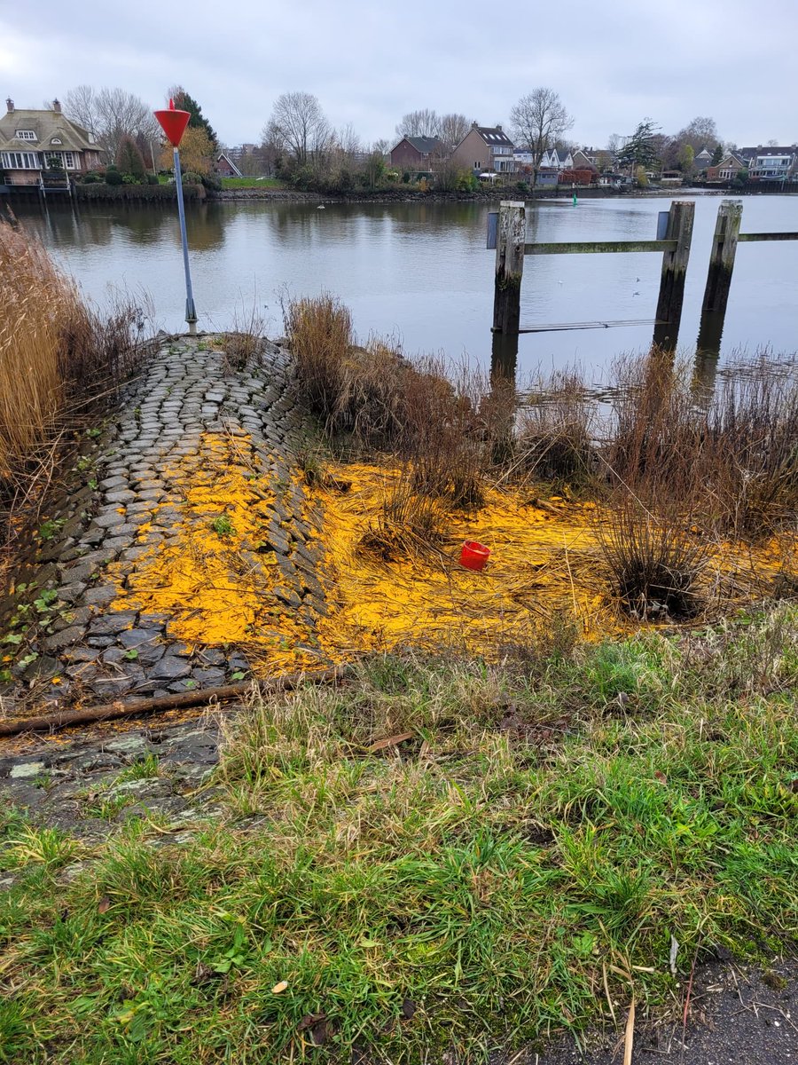 Spijkha's tweet photo. Vervuiling langs de Hollandse IJssel bij Capelle aan den IJssel. Snel opruimen die troep. https://t.co/T84jVmid32