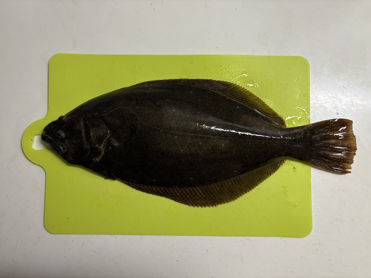 アキブン (@akibunchan) / Posts / X