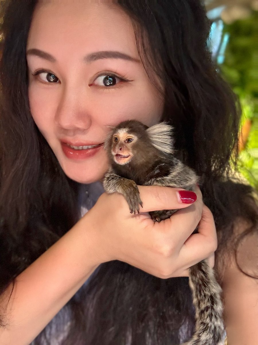 Tina_在路上 tweet media