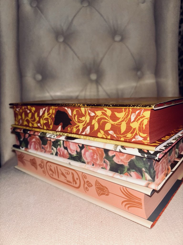 Ninjaacaitz ⚔️ tweet media