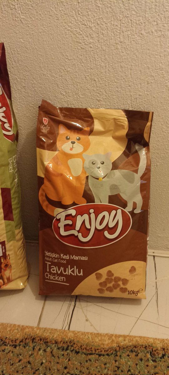 Babama gelirken kedi maması al dedim.

Evdeki kedi sayısı: 1