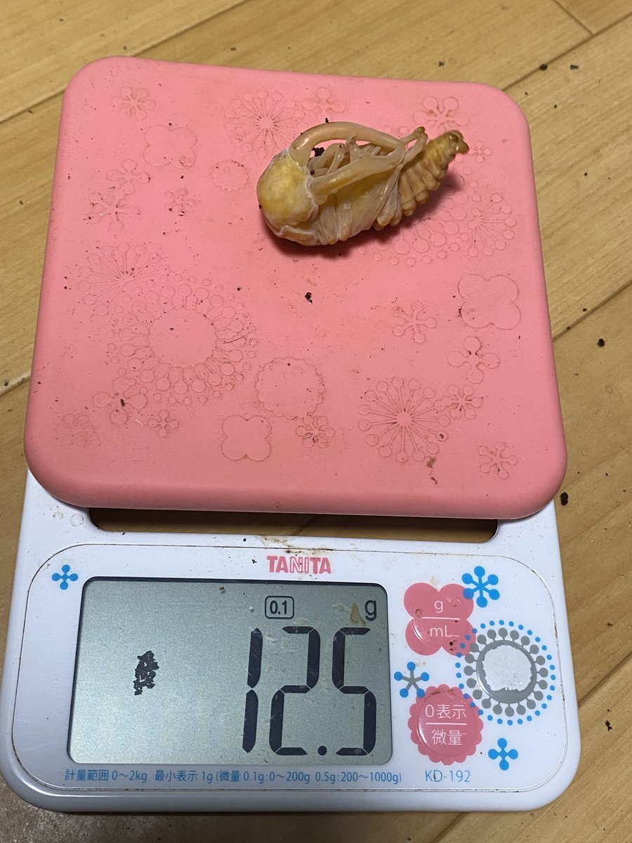 ささき (@sasaki_628212) / Posts / X