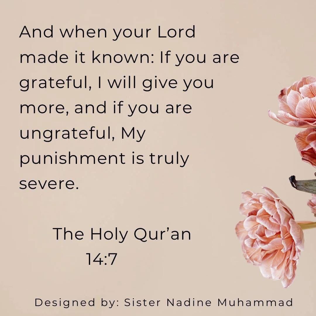 Nadine Muhammad (@nadinemuhammad) on Twitter photo 