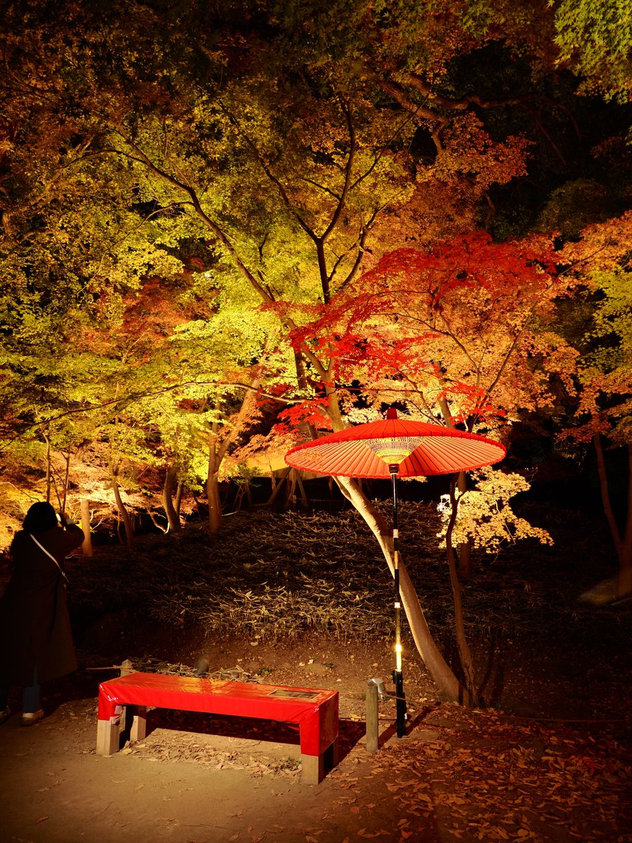 昨日撮った写真で一番絵になってたのはコレかも。 OM-3 + M.ZD12