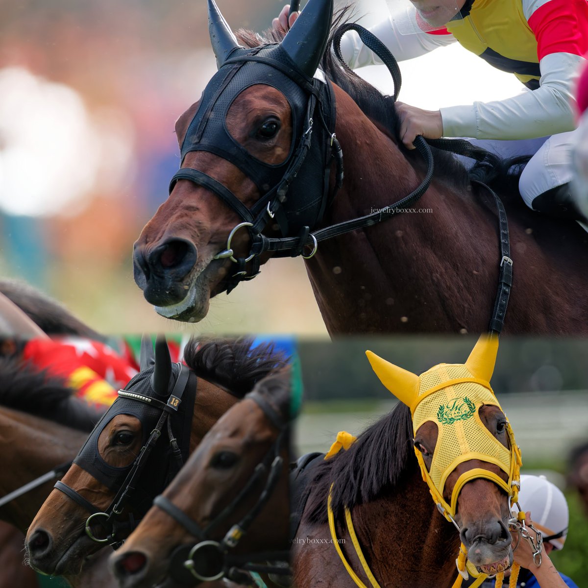 サトノダイヤモンド産駒