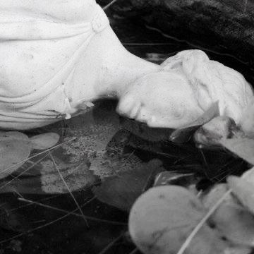 dollonshelf's tweet image. ⠀
     𝐁𝐞𝐥𝐥𝐚𝐭𝐫𝐢𝐱 𝐁𝐥𝐚𝐜𝐤.
      ✦ 𝘃𝗲𝗻𝗶 𝘃𝗶𝗱𝗶 𝘃𝗶𝗰𝗶.

⠀