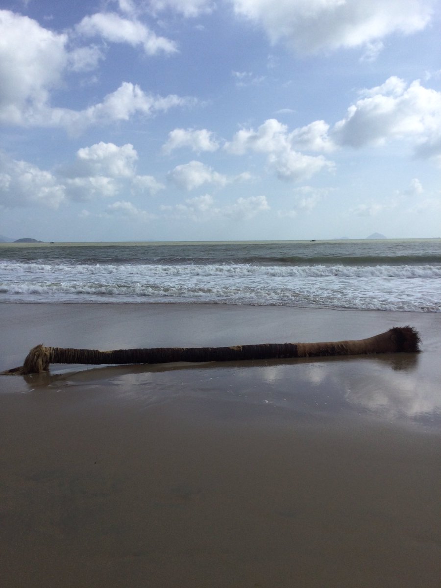 Peter Sean Woltemade tweet media