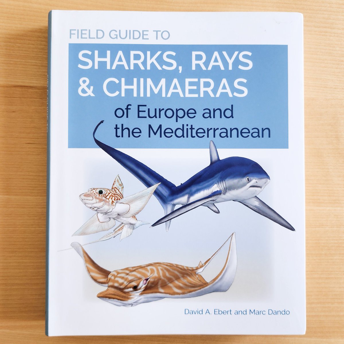 sage_cypress's tweet photo. Field Guide to Sharks, Rays &amp; Chimaeras of Europe and the Mediterranean 🦈

Field guide ฉลาม กระเบน และปลาคิเมียร่า ภาพประกอบเป็นภาพวาด มีข้อมูลทั้งวิธีจำแนกชนิด แหล่งที่อยู่ ชีววิทยา และสถานภาพในธรรมชาติค่ะ

383 pages
ปกอ่อน
550฿
(1 เล่ม) https://t.co/uSCngE4Po8