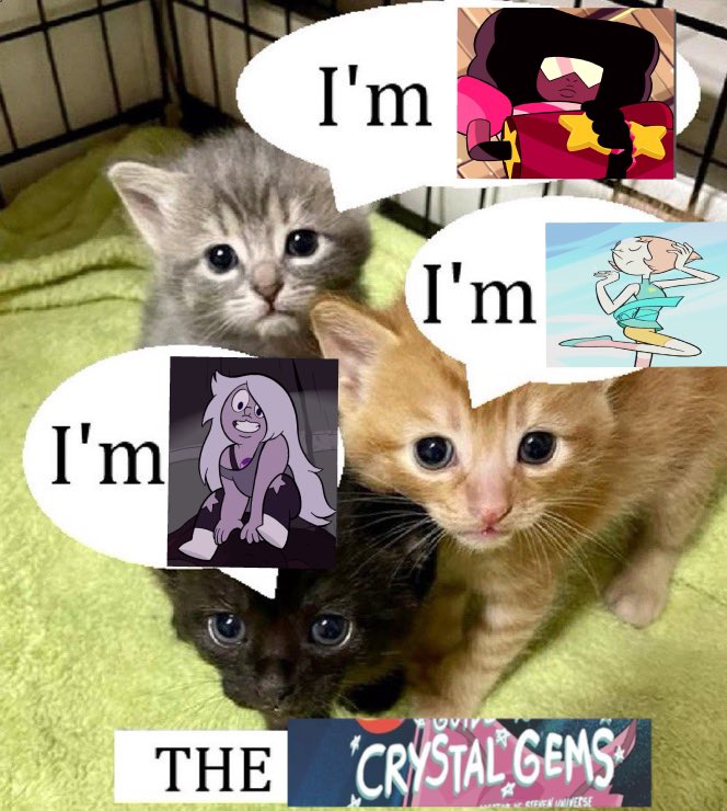 tatiana (@nimmiami) on Twitter photo 