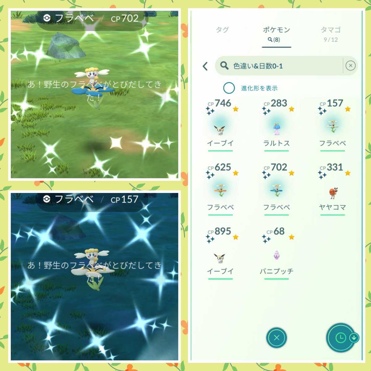 モフポケ31 #ポケモンGO にわか勢 5/29~31-GOフェス大阪参戦