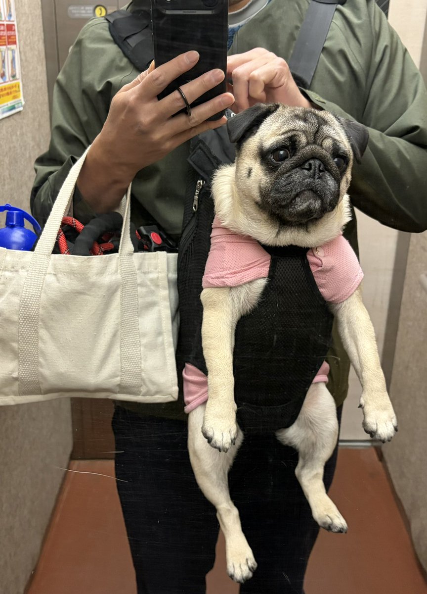 抱っこして外出。