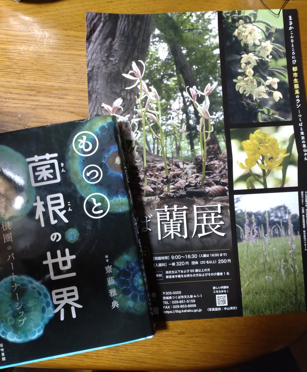 unitedtingdom's tweet photo. 今日はつくば蘭展行ってきました。 https://t.co/fsMt9johUI
