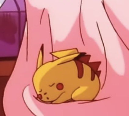 pokemonjewels's tweet photo. pikachu in a blankie https://t.co/MrjMMX25IV