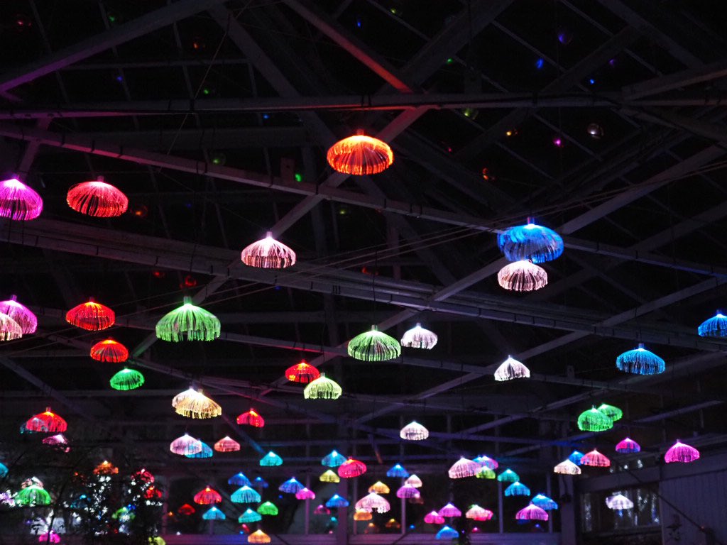 可愛い電球たちのイルミネーション✨
写真に撮ったらクラゲみたいになりました🪼