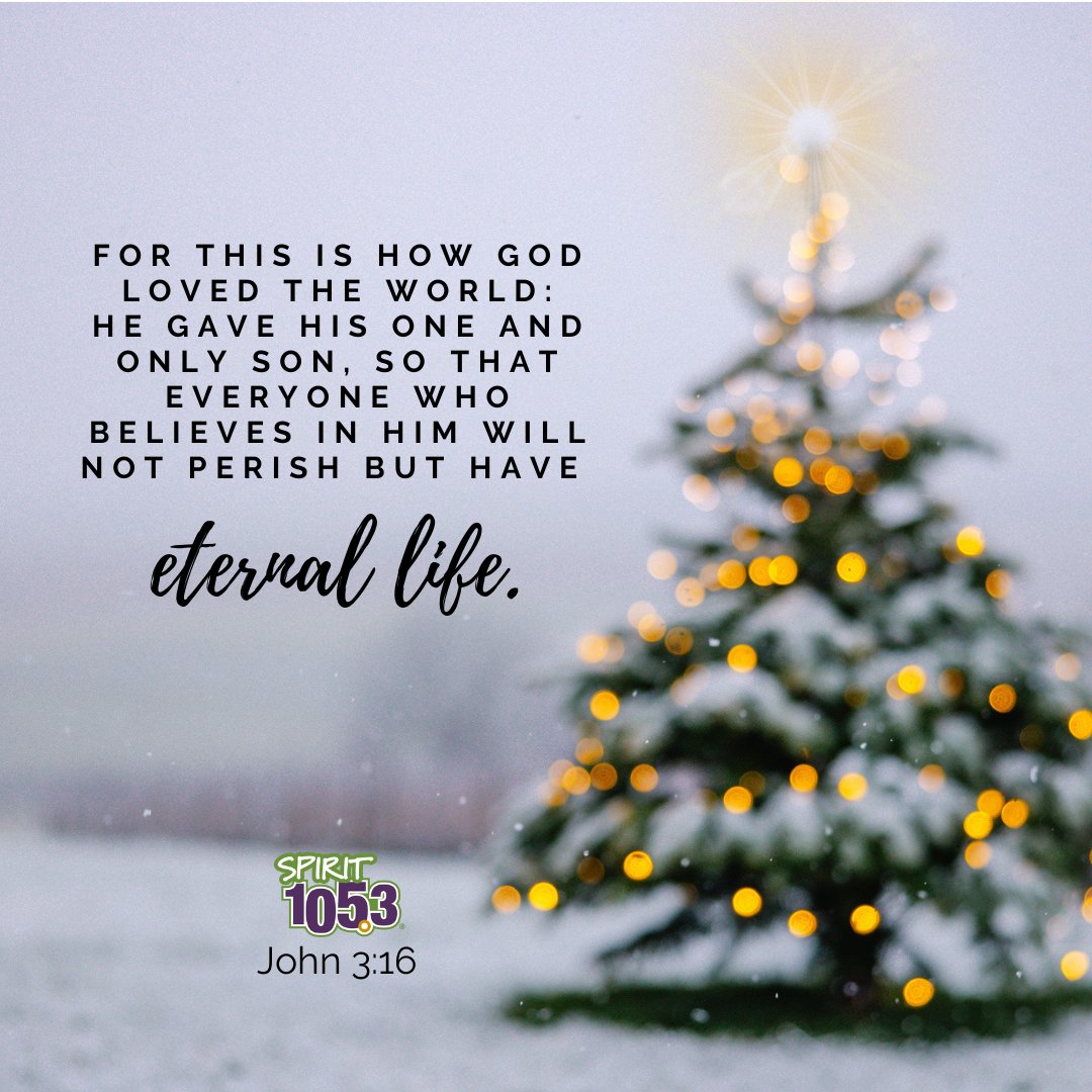 John 3:16 For this is how God loved the world: He gave his one and only Son, so that everyone who believes in him will not perish but have eternal life.
.
.
#verse #dailyverse #hope #bibleverse #bible