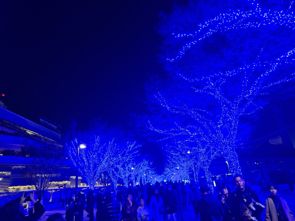 nabeyan27's tweet photo. 青の洞窟オススメされたから行ってみたけど凄くキレイだったな～ https://t.co/Q7eZKDQkji