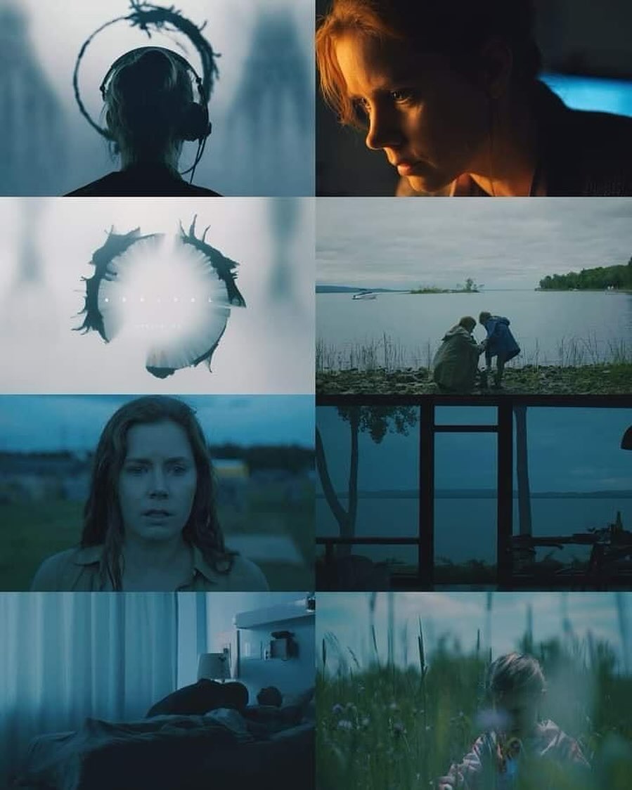 Sci-Fi Archives tweet media