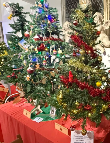 When did Christmas Tree Festivals in Church become a thing?
What are they about?
I like a Christmas tree but lots close together to me are tacky. 
I think some cathedrals have them.