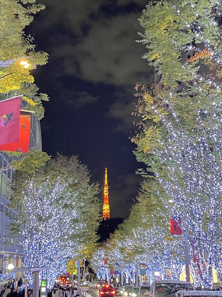 おひさしぶりです！リアル謳歌してますw
この前行ったイルミがすごかったから見て🌌