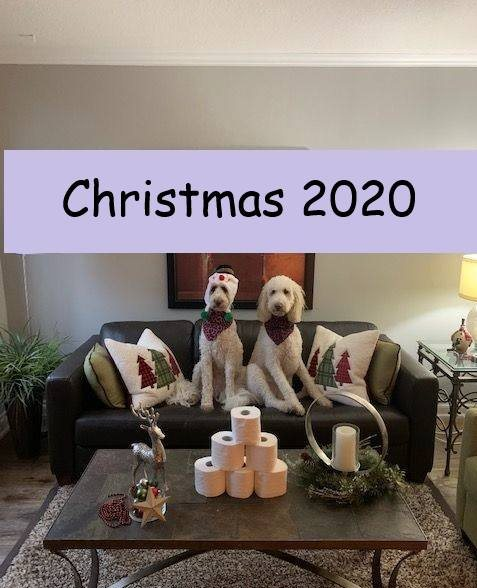 DoodleNessa's tweet image. Who remembers? 
#Christmas2020