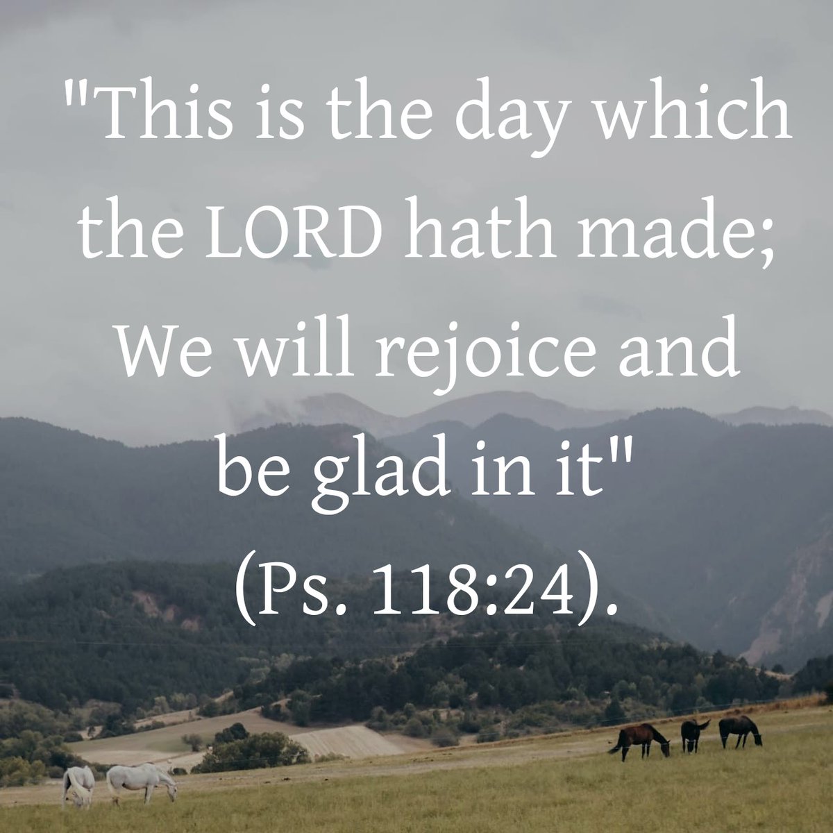 David & Priscilla Waller tweet media