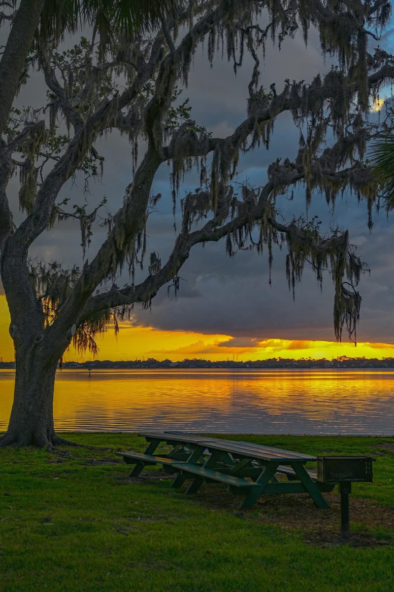 Morning friends! #sundayvibes #SundayMotivation #Sunday