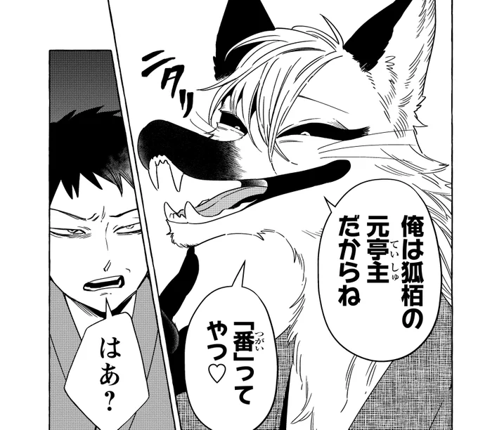 「元夫(狐)と今夫(人間)がこのあと殺しあいます」(0/8) 