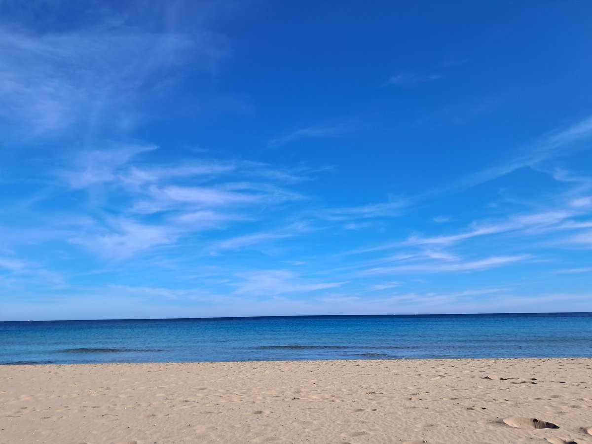 Dani Puerto Garcia tweet media