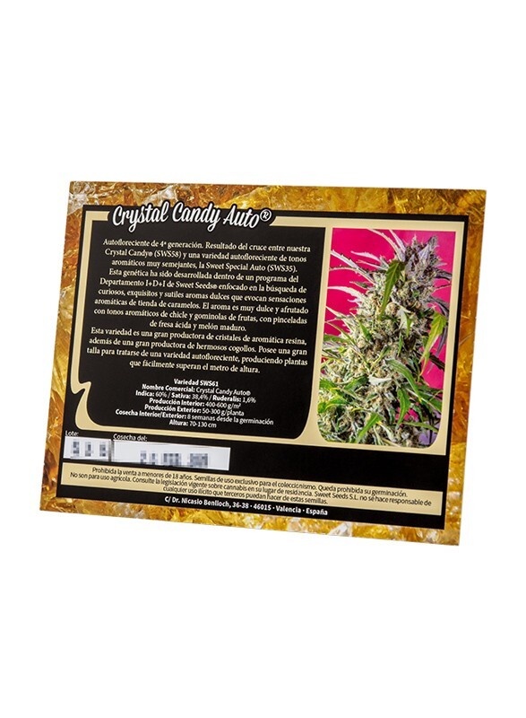 ToroGrow's tweet photo. Sweet Seeds - Crystal Candy Auto (auto/fem.) https://t.co/EhC8TfrN2q #Cannabis #TG #гроушоп #Seeds #torogrow #Growshop #ToroGrowshop #каннабис #семена https://t.co/O5g0sXmnKL