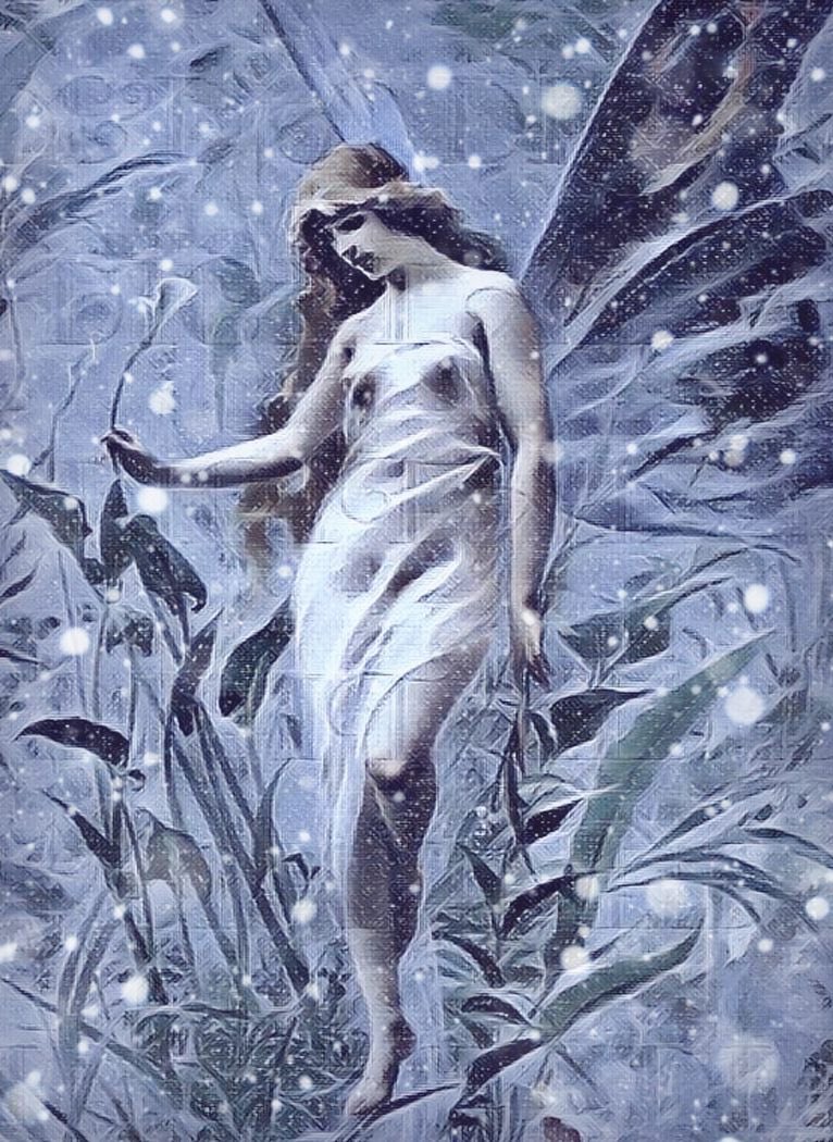 It’s believed fairies come into home with holly boughs,it gives fairies a place to stay peacefully during winter months so they don’t cause trouble.However,fairies must be shooed away and boughs burned by Imbolc,or fairies may decide to become a problem #Folklore #FolkloreSunday