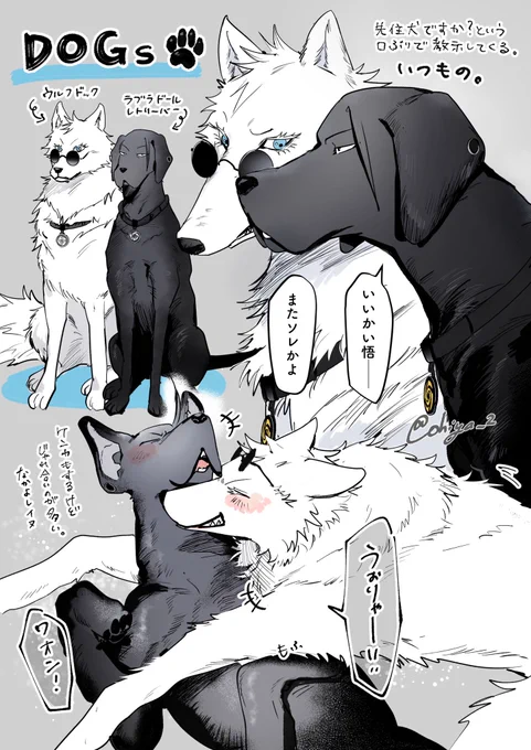 5と72 犬パロ 
