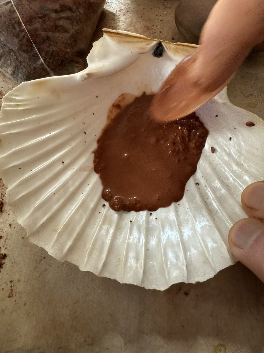 Steve Lillie tweet media