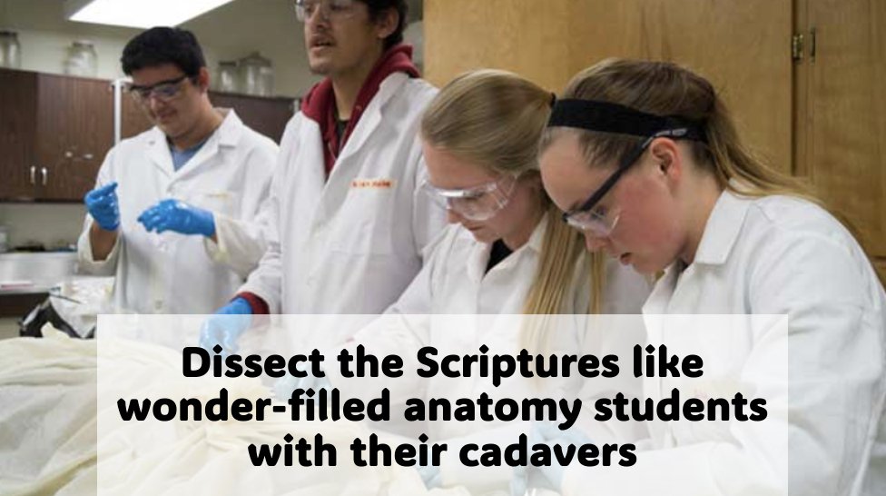 William Rudd tweet media