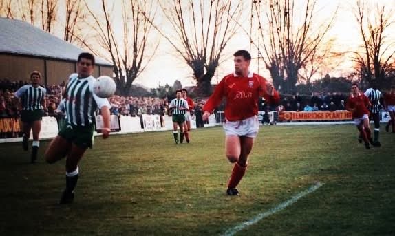 The Cardinal Tales tweet media