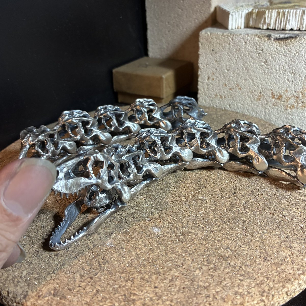 🦖🦖🦖🦖🦖🦖🦖🦖