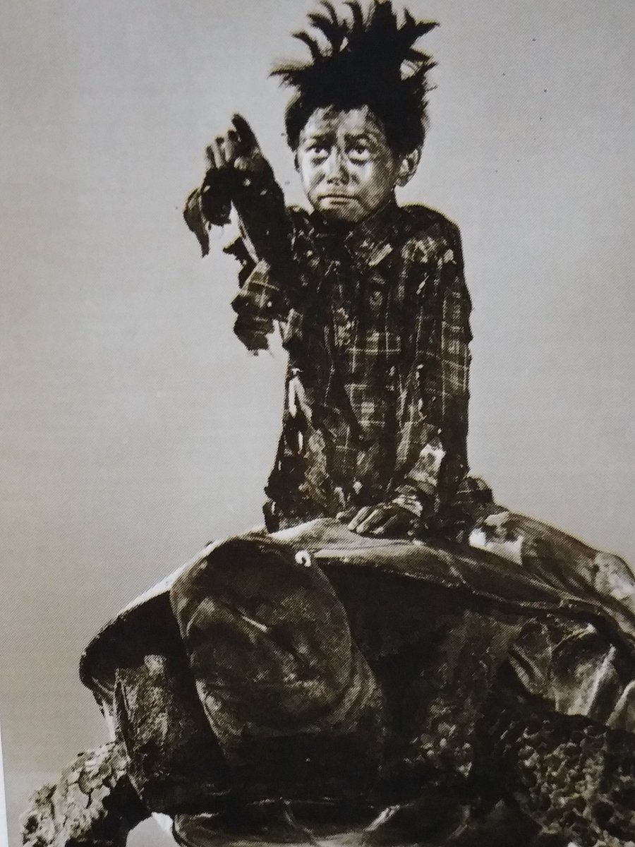 ウルトラQ 第6話「育てよ！カメ」ウルトラQの子役たちは上手い子が