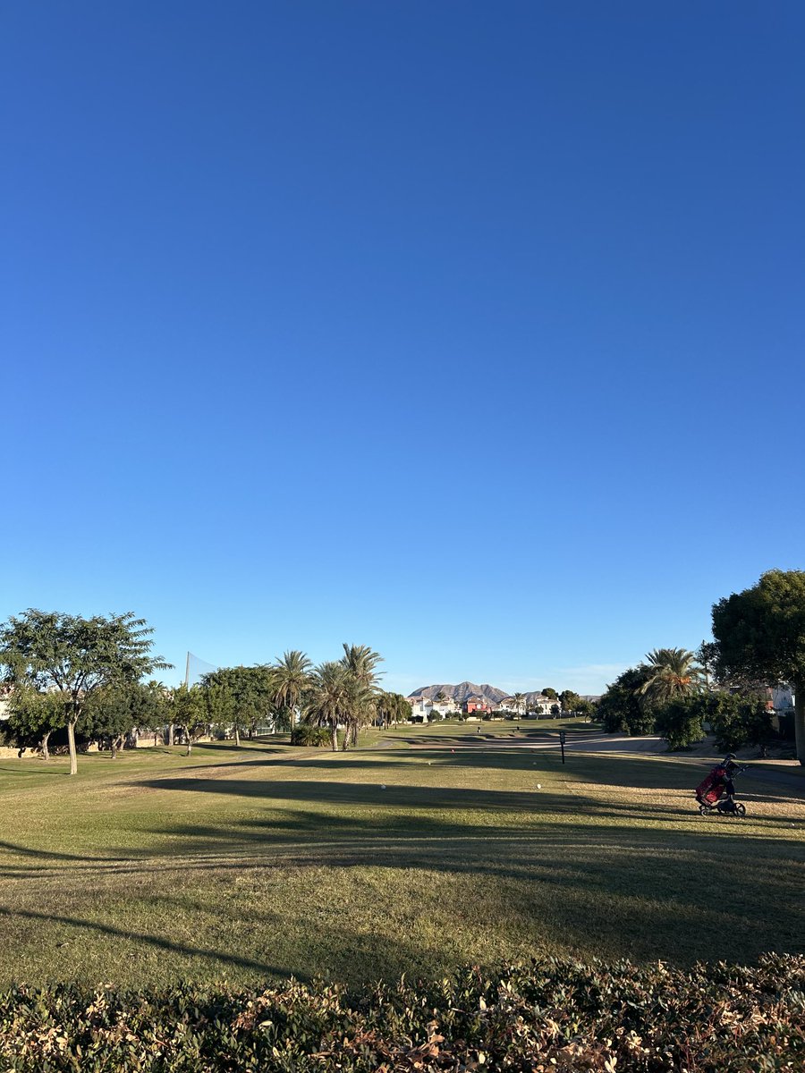 Lord David Simms tweet media