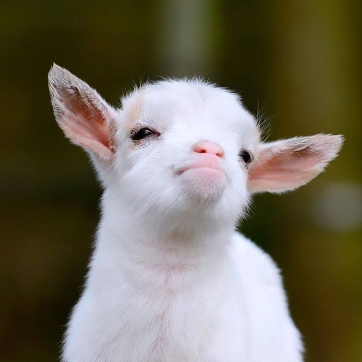 keonhomine's tweet image. #KEONHO ㅋㅋㅋㅋㅋ 😭🤏🏻