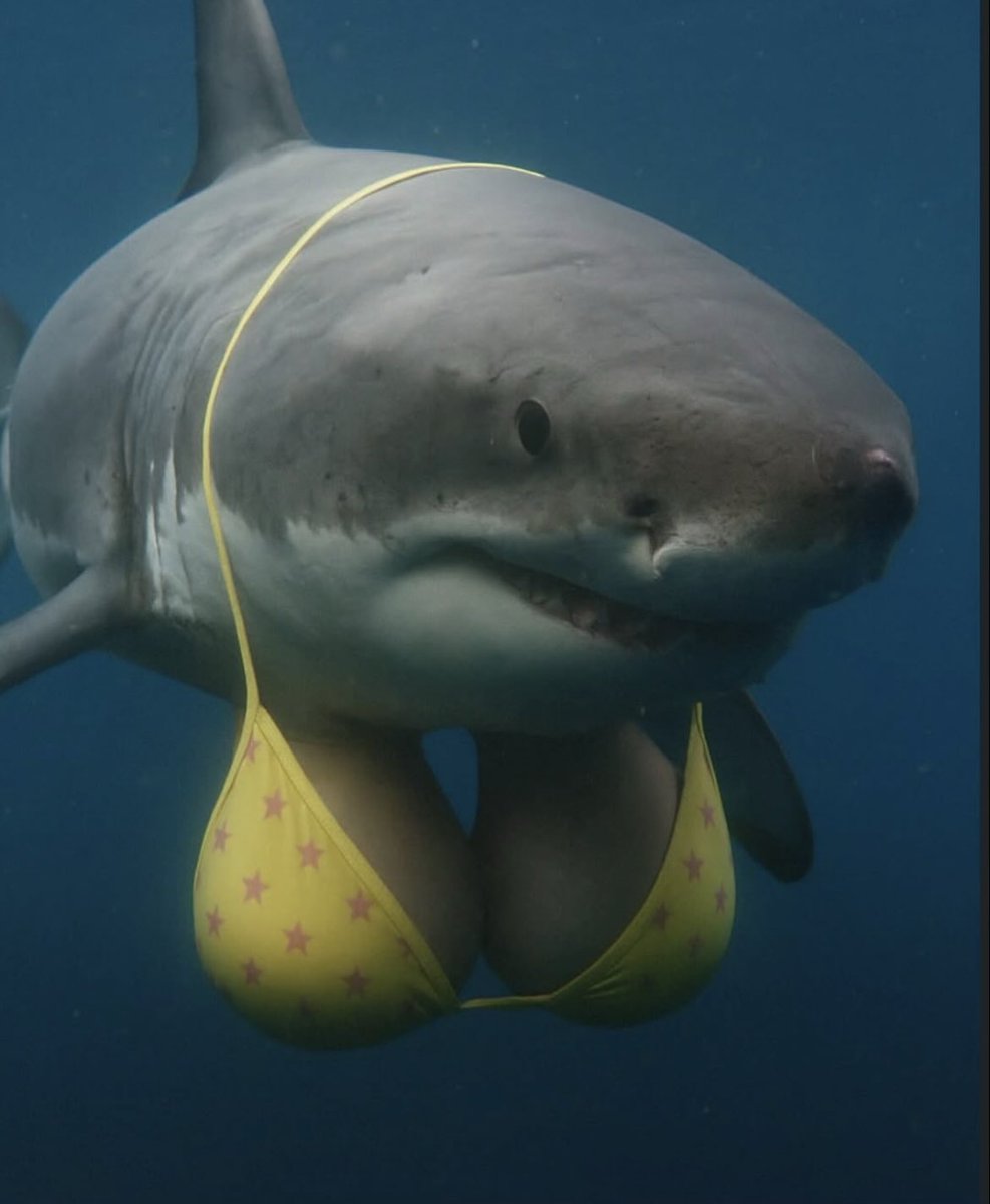 Џафа (@5_do_12) on Twitter photo 