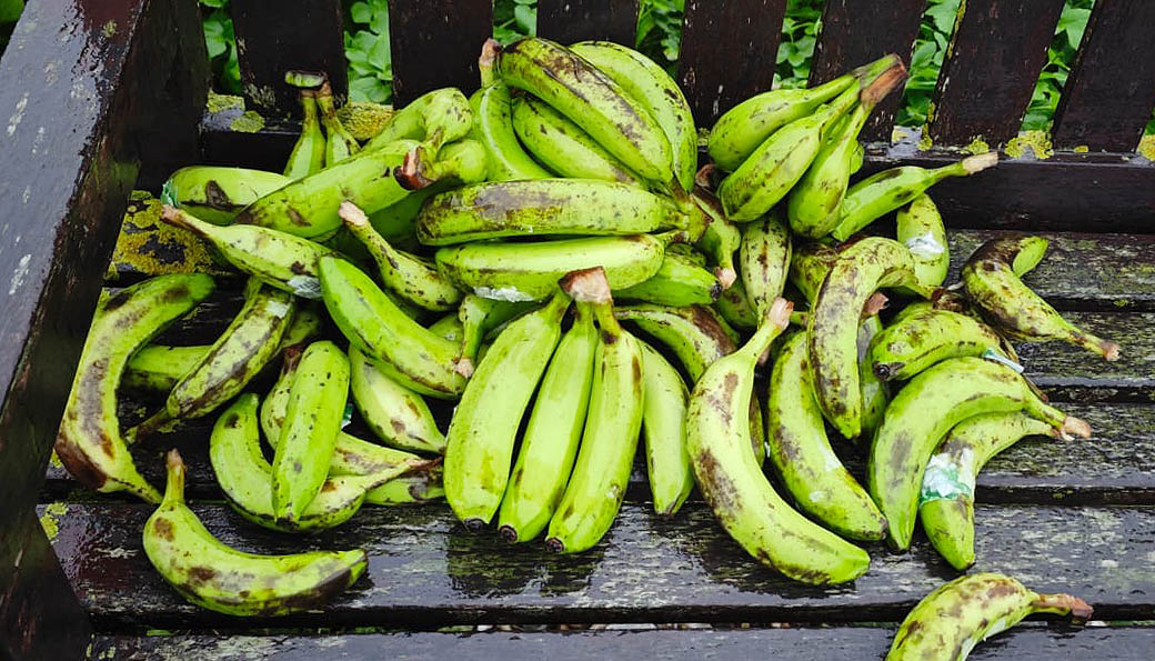 brightonsnapper's tweet image. Everyone’s going #bananas in #selsey ⁦
@HMCoastguard
⁩
