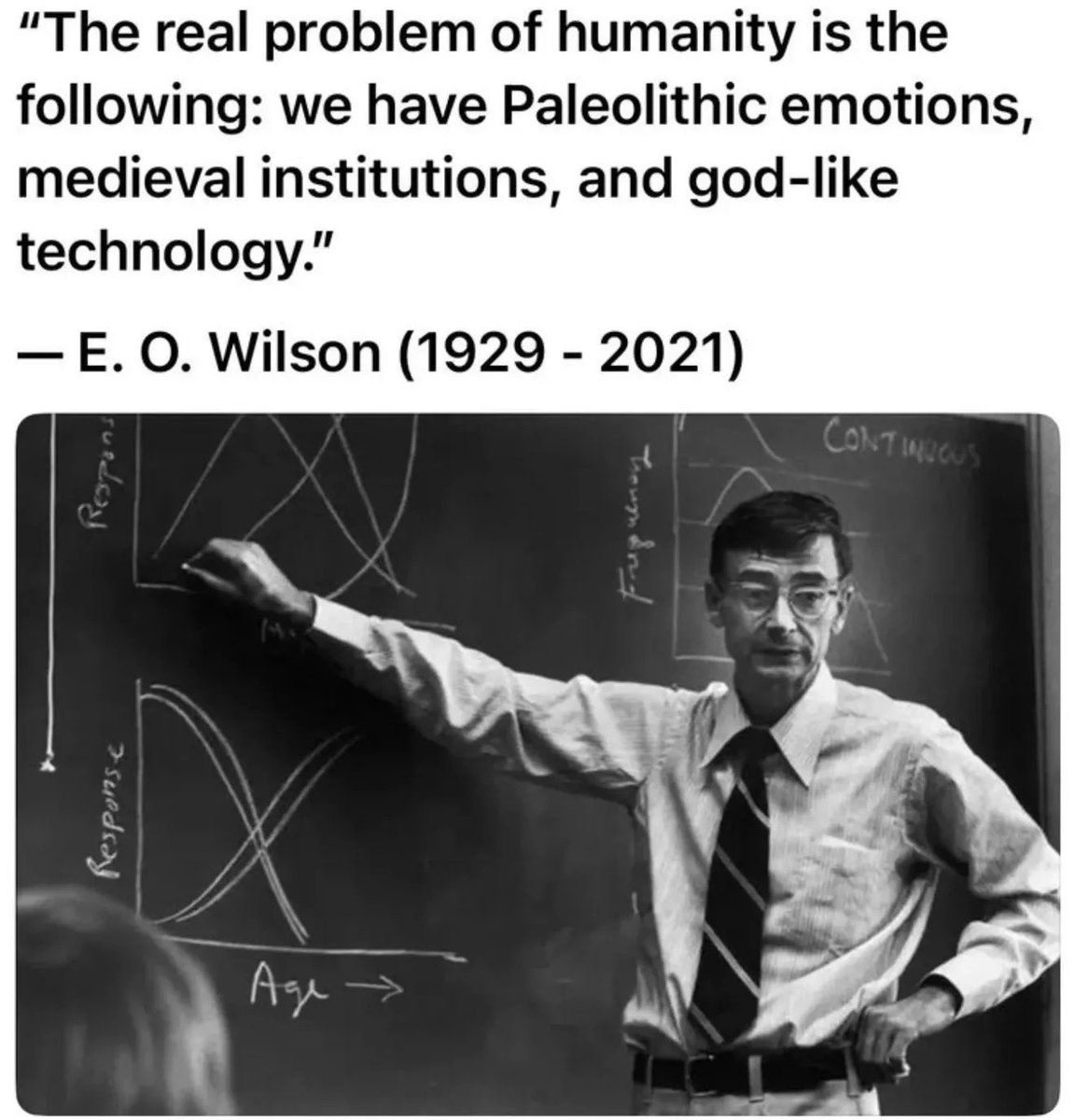 incosmicflow's tweet image. 