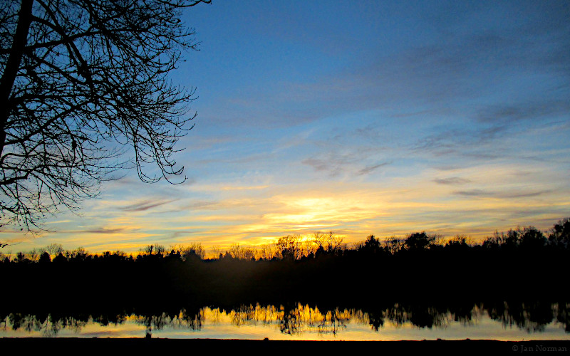 Jan Norman tweet media