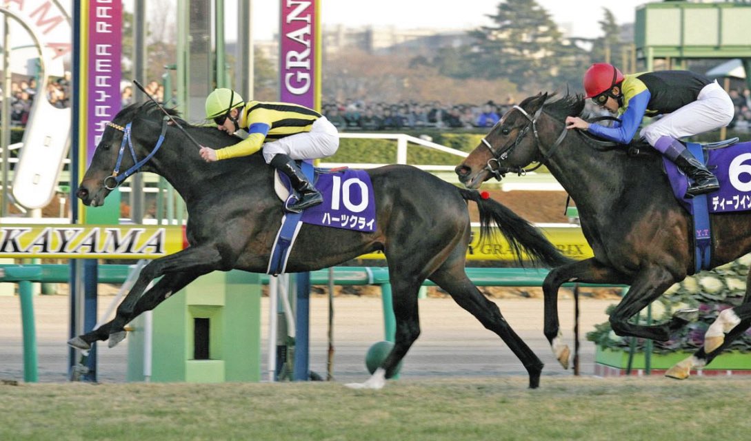 【✴︎激レア】サイン入りゴーグル14個セット　競馬 新品)Carl Zeiss (カールツァイス) 双眼鏡 Victory ビクトリー HT 8×54