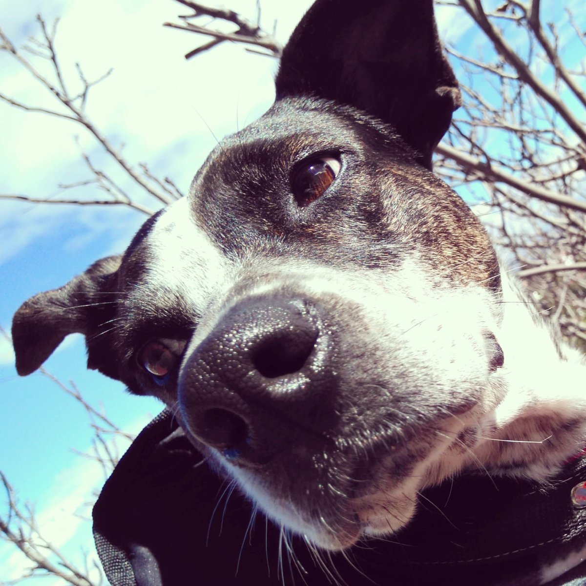 Samantha Gaytán tweet media