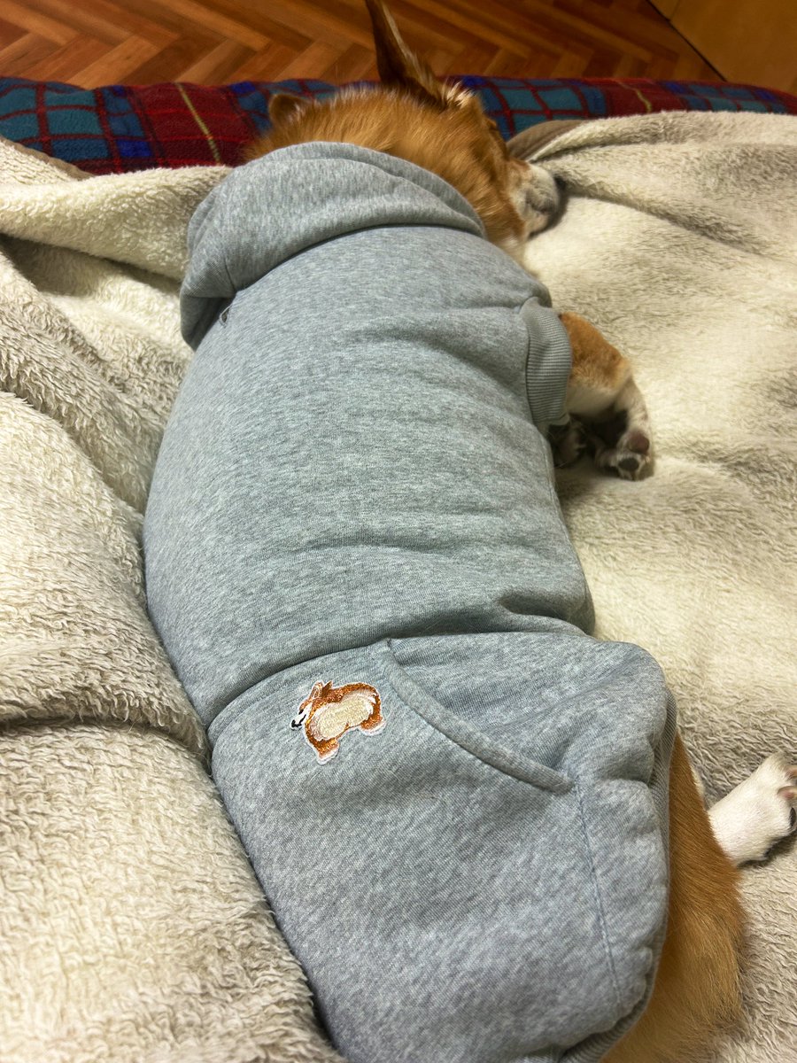 今日は一日具合悪くてごめんね

添い寝屋ありがとうございます🙇‍♀️