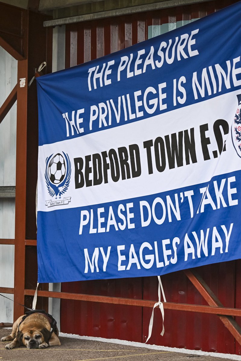 BedfordTown's tweet photo. The club would like to ask if any supporters have any Bedford Town flags hiding away anywhere, not currently in use, that they could donate to the club?
If you have some flags you’d like to donate, please drop us a DM 📲 or email james@bedfordtownfc.com 📧
#CIYE // #WeAreBedford